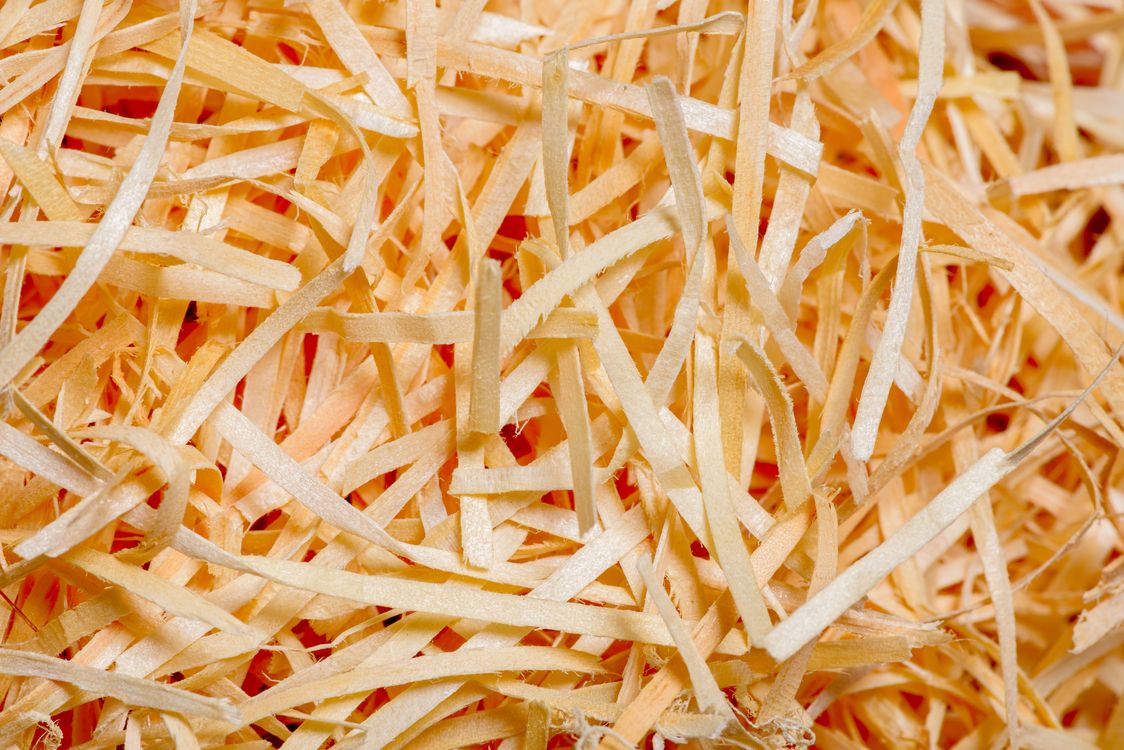 Shredding Services
